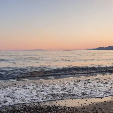 아파트호텔 알파이라르 악차이